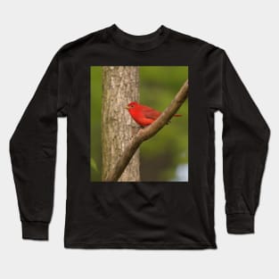 Summer Tanager Long Sleeve T-Shirt